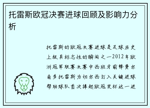 托雷斯欧冠决赛进球回顾及影响力分析